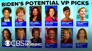 Breaking down Joe Biden's hunt for a VP Profile