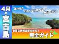 【知らないと後悔】４月の宮古島は注意点が多い｜泳げる？旅費は？混雑具合は？