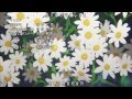 玉子市場 TamakoMarket  ED