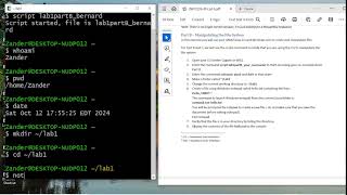 OS Lab 1 - Files Systems