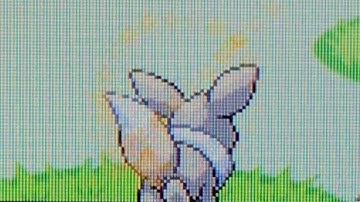 [Live] Shiny Eevee after 3,628 SRs (Leaf Green)