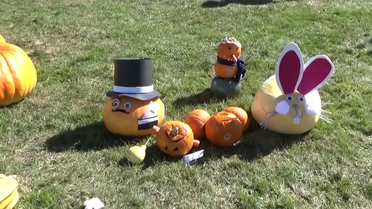 Marton Harvest Festival 2024 Snippets 7April 2024