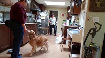 KPA final chain training videos(10)