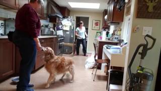 KPA final chain training videos(10)
