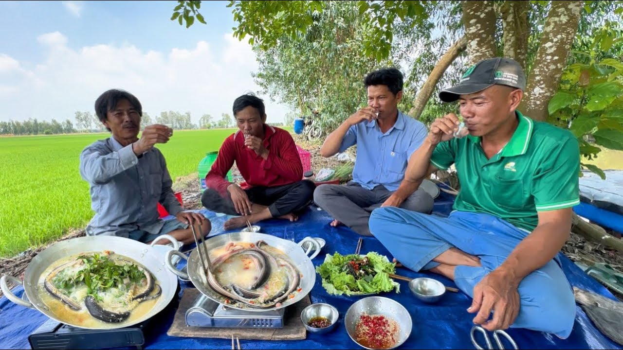 Đặc Sản Mùa Mưa Rắn Bông Súng Luộc Mẻ Nhậu Với Anh Toàn Nông Dân Nét Quê | mưu sinh miền quê #576