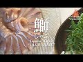 ぶりしゃぶ。誰でも簡単素敵な晩ご飯。Japanese Hotpot ‘SHABUSHABU'