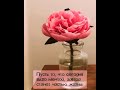 КРАСИВО😊🙌❤С БОГОМ!!! ЦЕНИТЕ ЧТО ИМЕЕТЕ И ПУСТЬ ГОСПОДЬ ХРАНИТ ВАС ВСЕХ 😊🤗🤗☝️💪👍❤❤❤