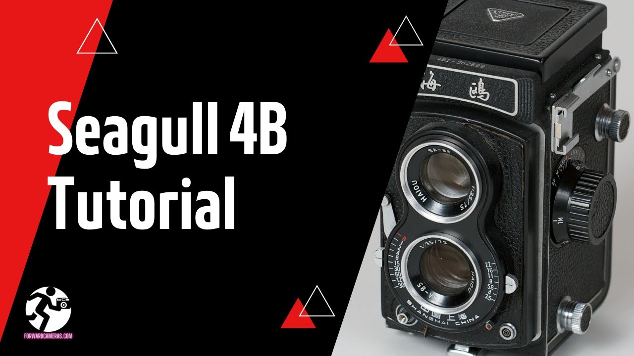 Seagul 海鴎 二眼レフ 4BI-639136 SHANGHAI CHINA Seagul 海鴎 二眼レフ 4BI-639136 SHANGHAI CHINA