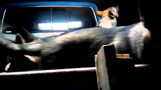 VID 20110926 204410