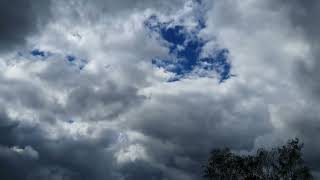 (Time lapse) Passage of clouds and formation of cumulus clouds