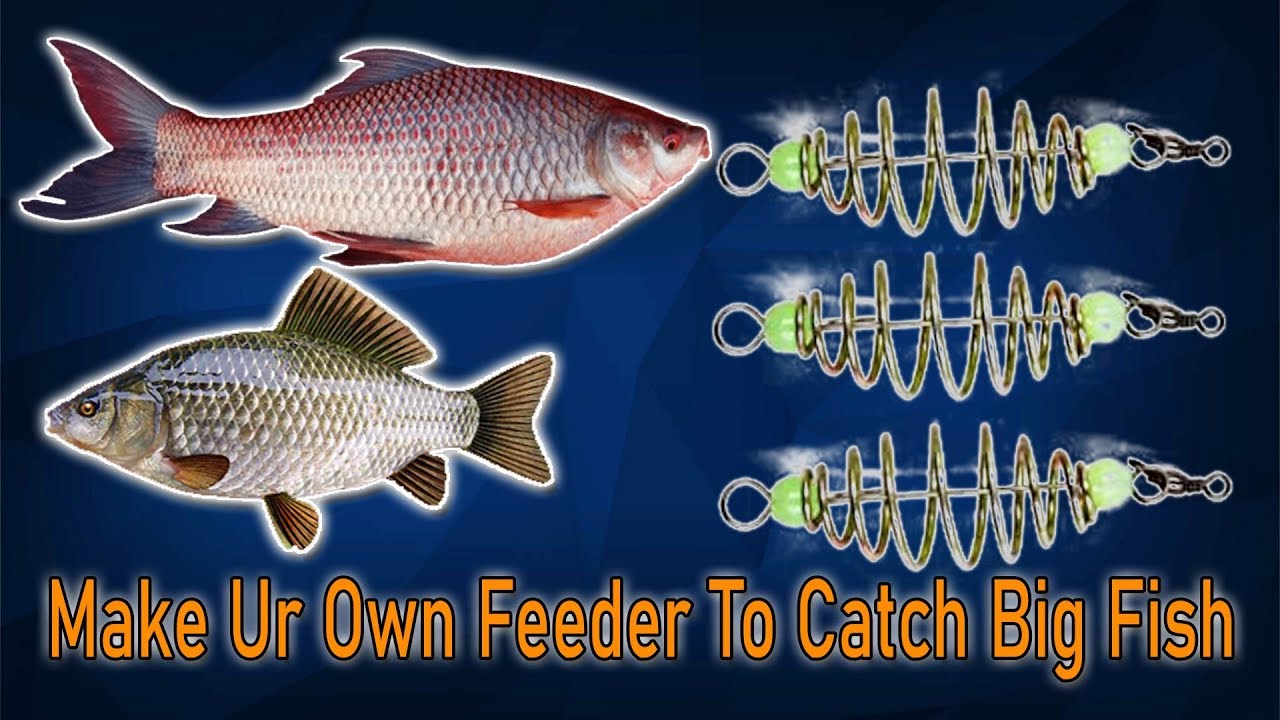 How to Make Your Own Feeder for Fishing 