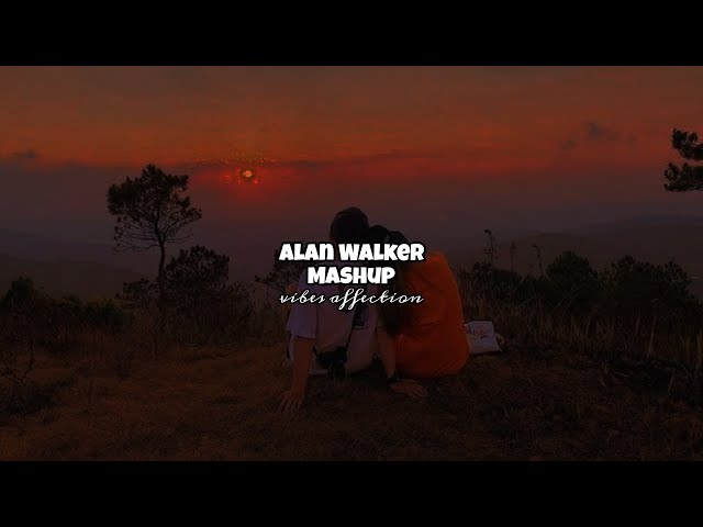 Alan walker mashup (slowed & reverb) | Alan walker mashup lofi | vibes affection