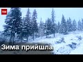 ❄️ Рясний сніг і 6 градусів морозу! До України увірвалась зима