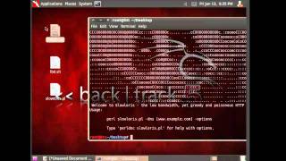 Como hacer un ataque dos con slowloris linux