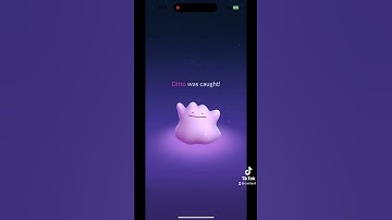 First catch of the day shiny ditto 🤩 #pokemongo