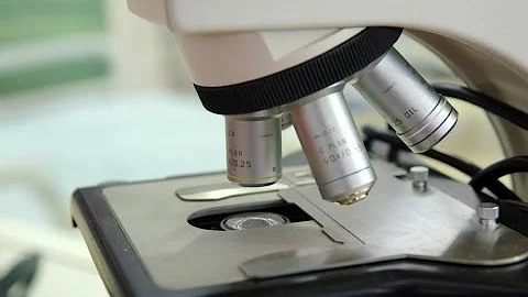All of your microscope questions answered
