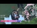 (31102017) Song Joong Ki - Song Hye Kyo - Vows Wedding