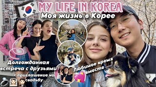 БУДНИ КОРЕЙСКО-РУССКОЙ СЕМЬИ 🇰🇷 ПРИГЛАШЕНИЕ НА СВАДЬБУ ДРУЗЕЙ! ЦВЕТЕНИЕ ВИШНИ/ ПРОГУЛКИ В ПАРКЕ!