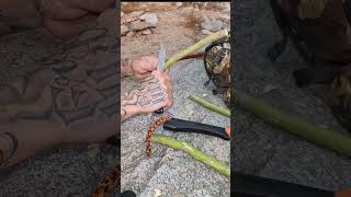 FIGURE 4 DEADFALL TRAP #shorts 🔥🐿️🔥🐭🔥