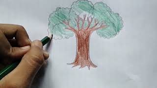 How to draw tree।pencil art।   step by step (Tree  drawing) 🌳