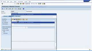 SAP ABAP Programming For Beginners - Online Training : Create Your First Table Part 2