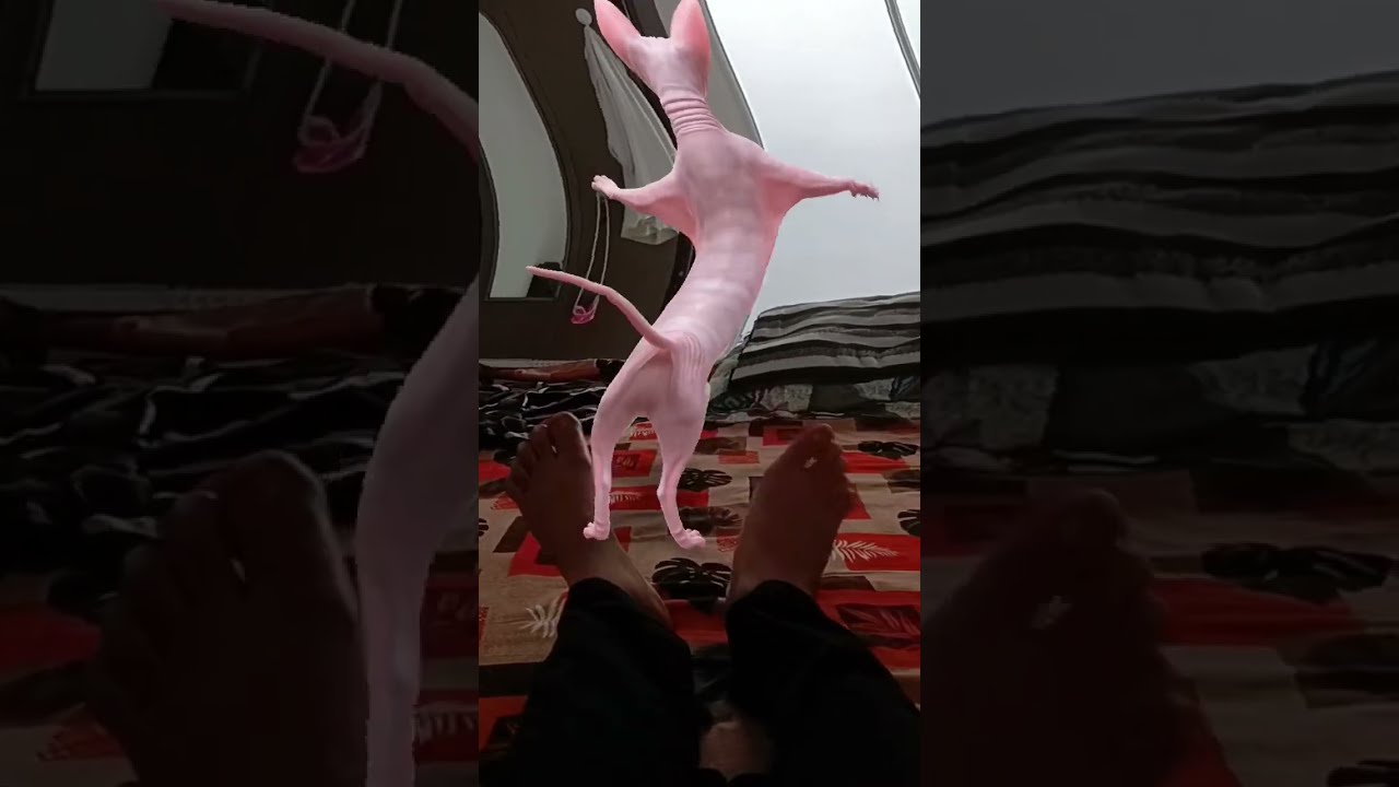 560
