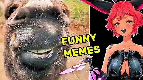 TRICKYWI REACT | FUNNY SILLY AND CUTE DAILY DOSE OF INTERNET MEMES TRY TO NOT LAUGH 😂