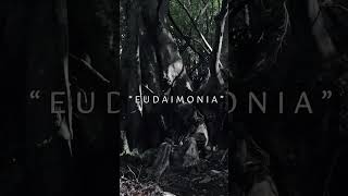 "Eudaimonia" - Fuori il video