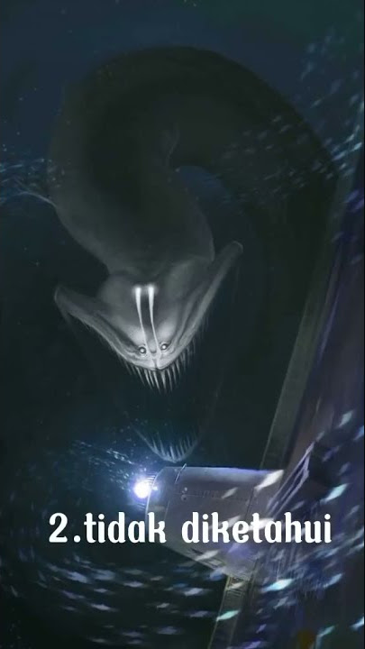 SUARA-SUARA ANEH DARI DASAR LAUT PART 2 🔍😨