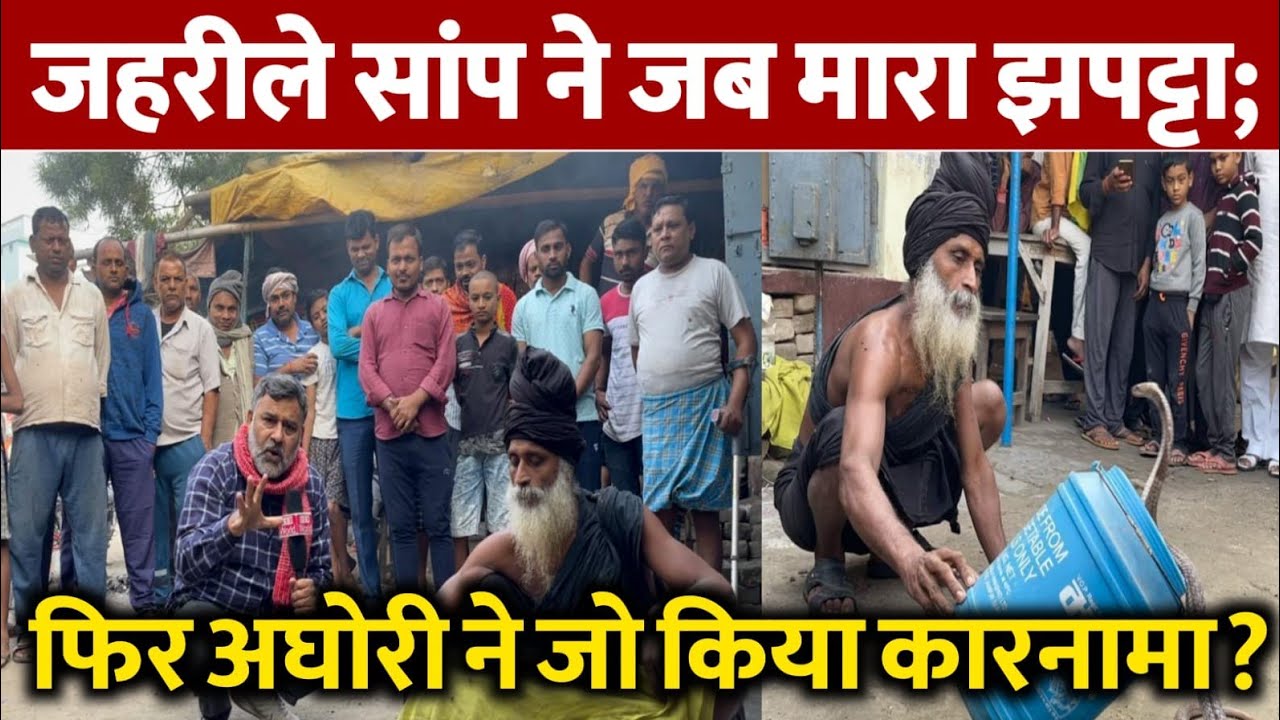 विषैले सांप से औघड़ की लड़ाई; जहरीले सांप ने मारा झपट्टा फिर औघड़ का ऐसा कारनामा कि?