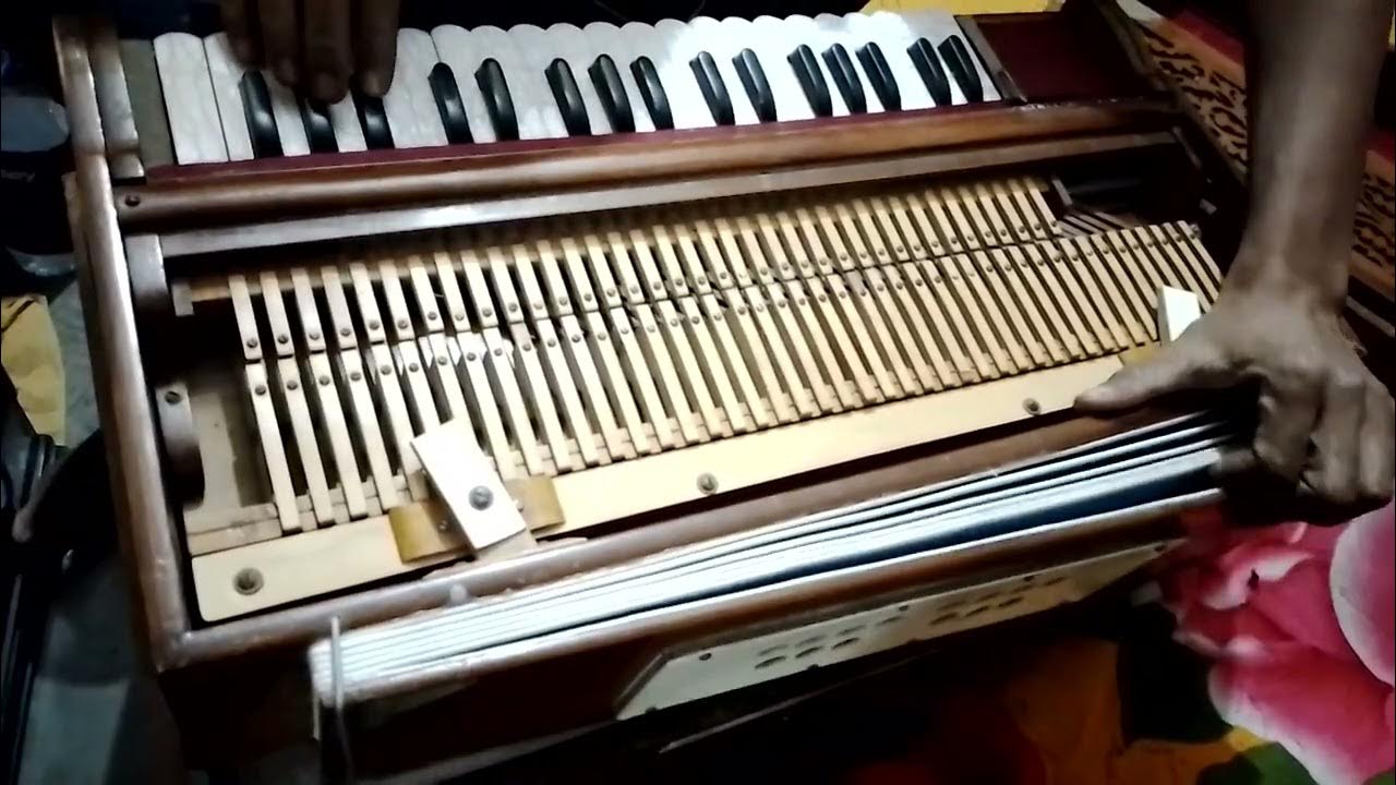 Banaras Harmonium company!{musical instruments shop in varanasi}⏩⏩ ⏸
