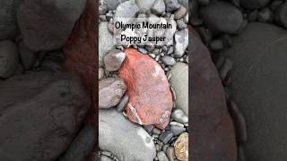 Hidden Jasper Treasure Revealed by Rain | Rockhounding Washington’s Olympic Mountains 🌧️💎