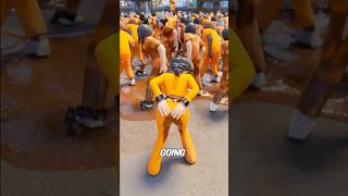 Land of Jail What just Happened