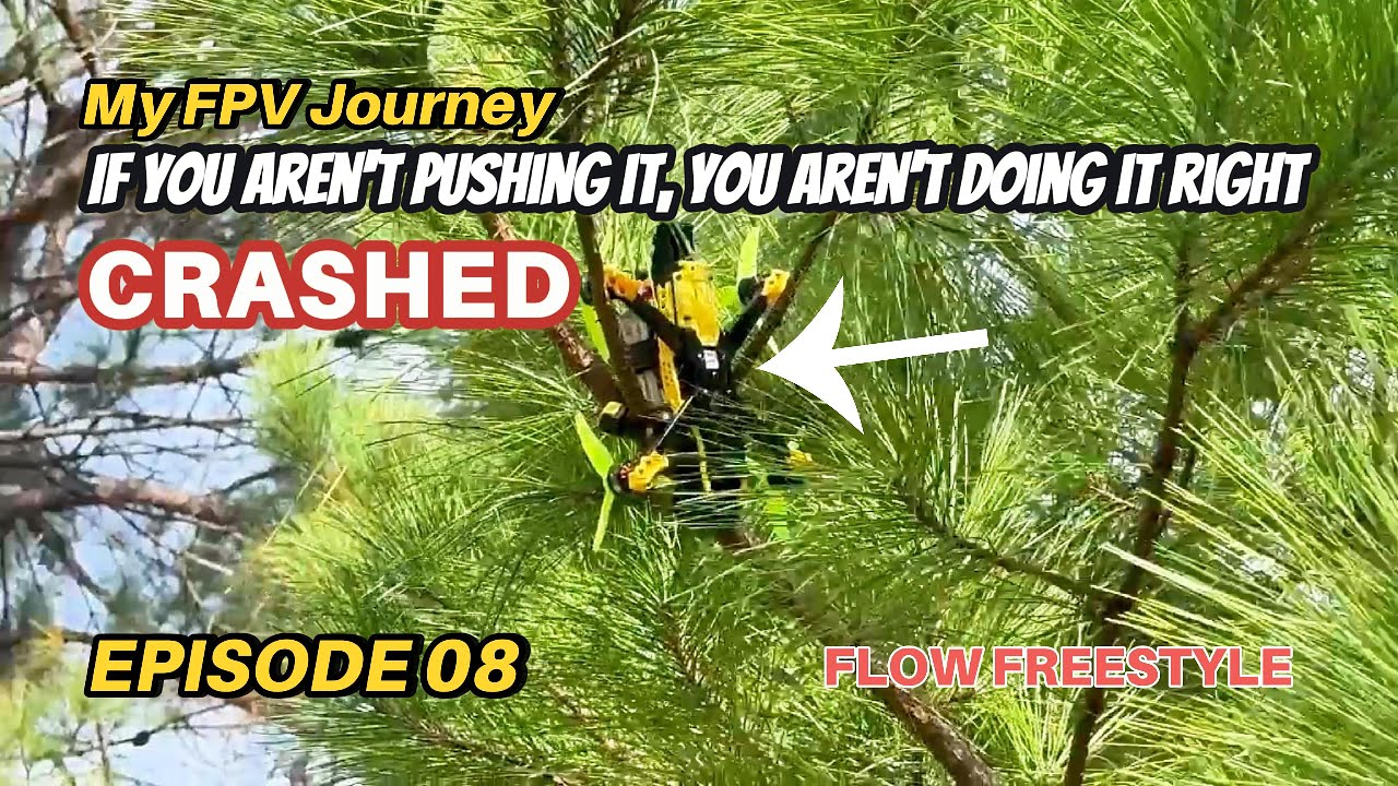 Дрон FPV врезался в дерево рядом с самой широкой автострадой в мире | SpeedyBee Master 3X