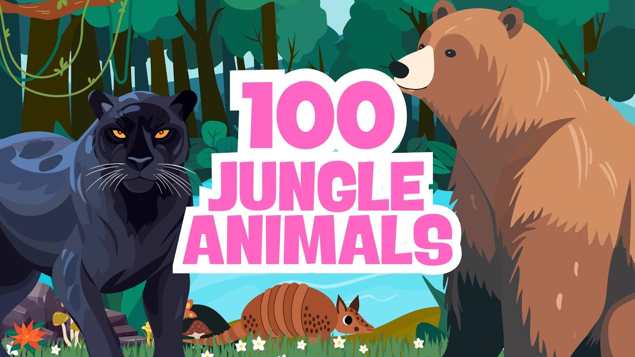 100 Jungle Animals for Kids 🐒🐍🐦 | Learn Mammals, Reptiles, Birds, Amphibians & Insects