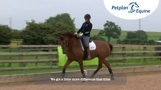 Medium Trot