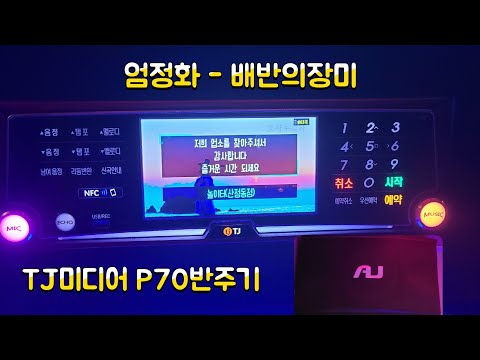 TJ반주곡 P70반주기 엄정화 - 배반의장미 (곡번호:3783)