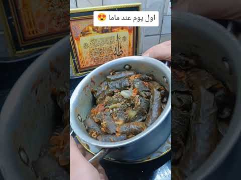 اول يوم عند ماما عشاءلذيذ       اكسبلور فسيخ ام زين