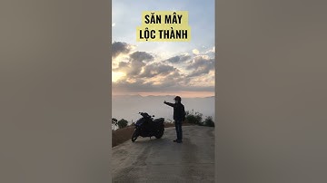 ĐIỂM SĂN MÂY ĐANG HOT ĐỒI MÂY LỘC THÀNH - BẢO LỘC