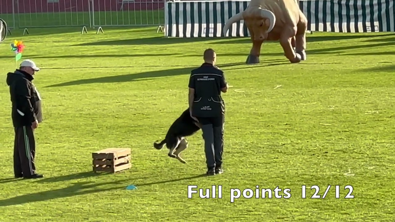 Team France 2023 Mondioring World Championships MR1 Grand Prix