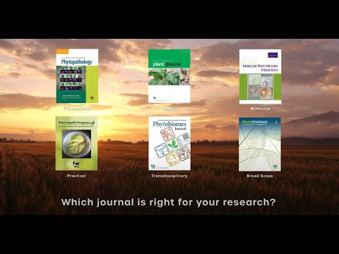 Which APS journal is right for your research?