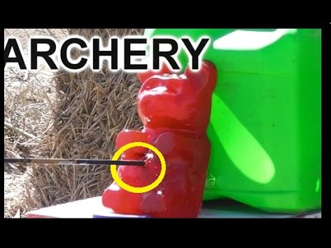 5lb GUMMY BEAR vs ARROW