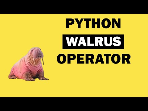 Walrus Operator in Python