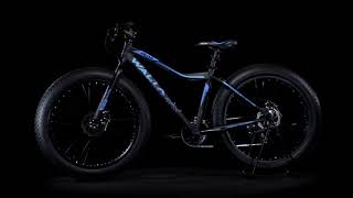 WALTX Dune 3 26 T Fat Tyre Cycle Price 