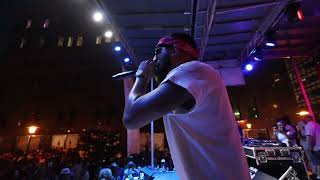 Bastid’s BBQ TDImuzik performance with Kool Dj Red Alert 8/8/26