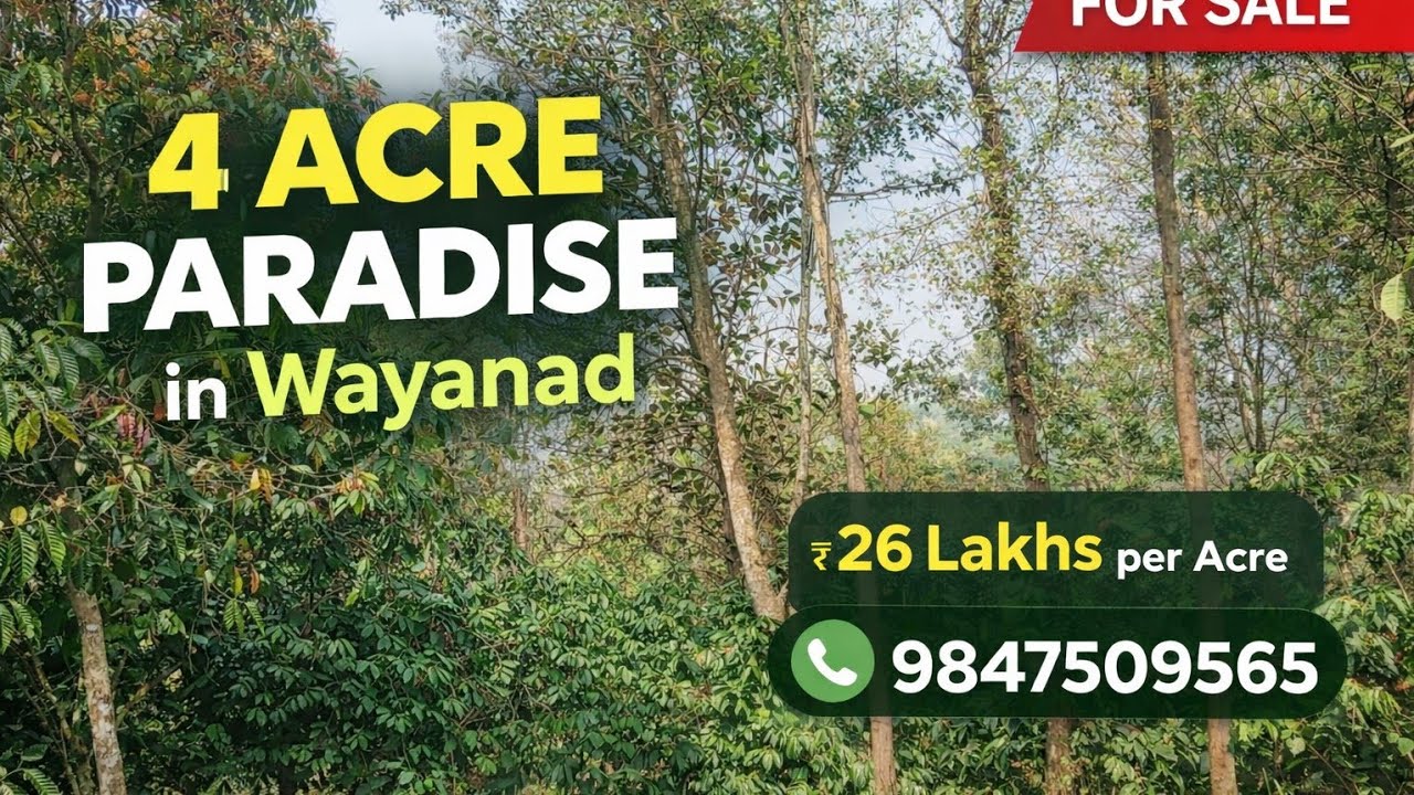 Станьте владельцем кусочка природы 🌳 Продается участок земли площадью 4 акра, засаженный деревьям...