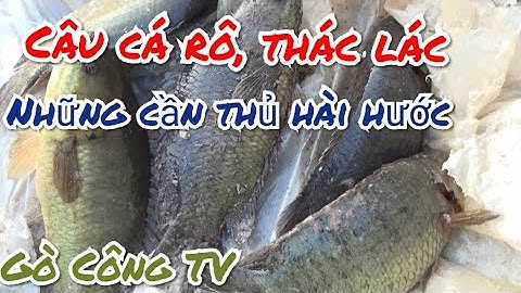 Câu Cá Rô, Thác Lác Cùng Với Các Cần Thủ Vui Tính Đến Từ SG và Phan Thiết