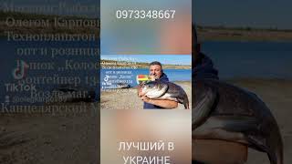 0973348667 есть розница есть опт