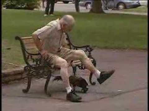 Very Funny Strange Animal
