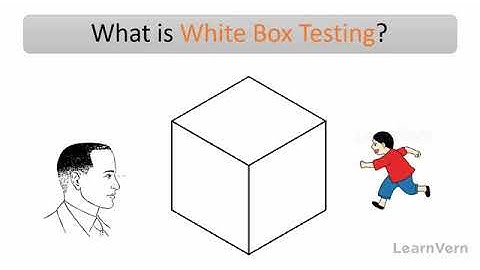 What is Whitebox Testing?Videos in Hindi Tutorial